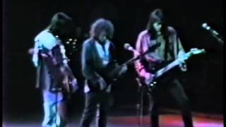 Boston  Live at Hamilton Ontario 1988 [upl. by Jar]