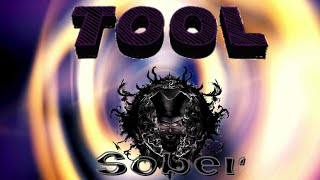 Exploring the Lyrics of Sober Tool [upl. by Haya396]