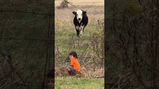 Sweet Moment Turns Hilarious My Sons Unexpected Words About a Calf [upl. by Eneloj]