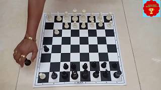 LEARN CHESS FOR BEGINNERSबुद्धीबळ रचना आणि नियम [upl. by Range174]