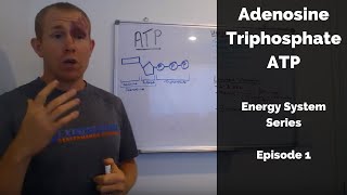 Adenosine Triphosphate ATP an introduction to energy [upl. by Sikata987]