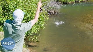 Solo Dry Fly Fishing amp Camping Utah [upl. by Nayhr]