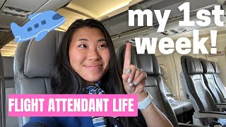 Flight Attendant Vlog MY FIRST WEEK amp I loved it ❤️ [upl. by Ailgna]