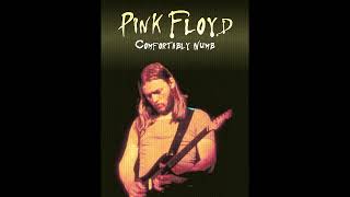 Pink Floyd  Comfortably Numb Guitar Solo Backing Track  Original [upl. by Assirec]