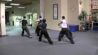 Choy Li Fut  Siu Jin Kuen  variation [upl. by Sacrod746]