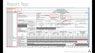 Overview of Deltek Cobra Reporting Architecture [upl. by Osmo]