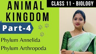 Animal Kingdom class 11 Biology  Phylum Anneleda Phylum Arthopada  Part4 [upl. by Alius]