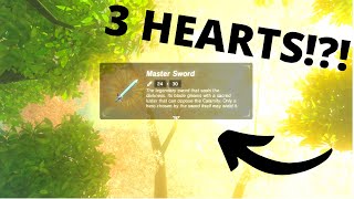 How to Get the MASTER SWORD WITH 3 HEARTS  The Legend of Zelda Breath of the Wild Glitch shorts [upl. by Laure]