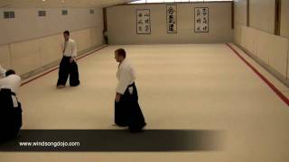 Aikido Multiple Attack Randori  Demonstration 3 [upl. by Fulton]