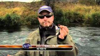 STEELHEAD FISHING DESCHUTES WITH KELLY GALLOUP [upl. by Asilef960]