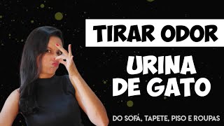 Como tirar odor de urina de gato tapetesofápisoroupas ATUALIZADO 👃 😨 [upl. by Alat]