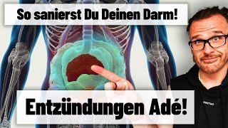 4 Wochen Programm  Darmreinigung quotwie die Tierequot  Ohne DETOX amp Einläufe [upl. by Elwood582]