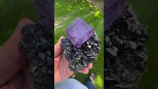 😱Rae Piece of Fluorite On Sphalerite From USA 🇺🇸 NFSfluorite gemstone crystalshop brucite [upl. by Esiom]