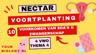 4 vwo  Voortplanting  10  Voorkomen van SOAs en zwangerschap [upl. by Sucramat]