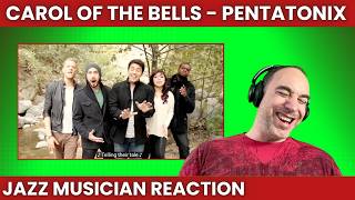 This is Perfect for them Pentatonix Reaction  Carol of the Bells [upl. by Breana]