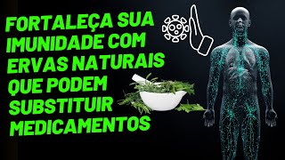 Diga Adeus às Doenças Fortaleça Sua Imunidade com Ervas Naturais [upl. by Outhe16]