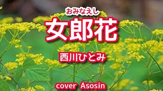 新曲『女郎花おみなえし』西川ひとみさん／cover 麻生新 [upl. by Eanahc]