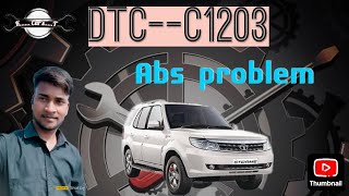 Safari storme ABS problem DtcC1203 permanent error [upl. by Bendicta612]