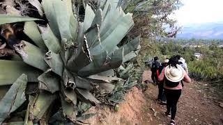 Trekking a Luricocha  Huanta [upl. by Eerhs]