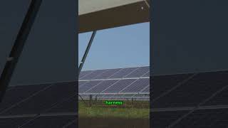 How Do Solar Cells Work ☀️⚡ Simple Science Behind Solar Powersolar energy shorts [upl. by Chandler]