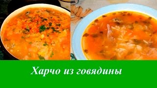 Рецепт супер Харчо из говядины [upl. by Soluk381]