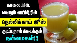 நெல்லிக்காய் ஜூஸ் அற்புத பயன்கள்  Nellikkai Juice  GooseBerry Juice  Amla Juice  Health Tips [upl. by Nikkie]