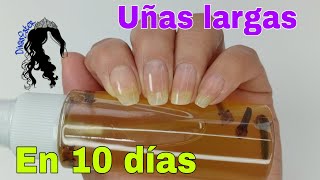 Un remedio que en 10 días hace que las uñas crezcan fuertes Quita hongos de uñas [upl. by Mussman]