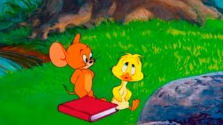 Tom and Jerry  Episode 87  Downhearted Duckling 1953 [upl. by Ahsas]