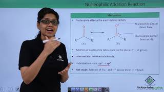 Class 12th – Nucleophilic Addition Reactions  Tutorials Point [upl. by Annet]