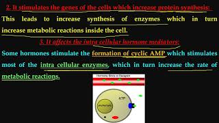 THE ENDOCRINE SYSTEM 04 11 2024 PART1 [upl. by Jeanelle]