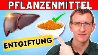 Leberentgiftung  die 3 besten Pflanzenheilmittel [upl. by Rosemari]