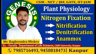 Nitrification  Denitrification Plant PhysiologyCSIR NETJRF  GATE  Life science  ICMR IITJAM [upl. by Rodrigo]