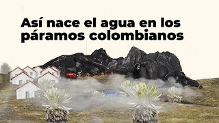 Así nace el agua en los páramos colombianos  Especiales RCN Radio [upl. by Aleemaj604]