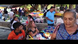 En el Mercado de Santo Domingo Tonala Todo fresquesito [upl. by Aikmat630]