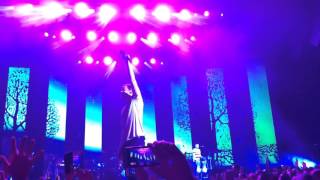 Roots  Imagine Dragons live concert in Munich München Germany 2015 [upl. by Chute]