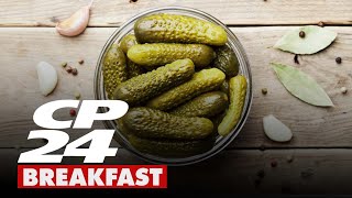 Best of CP24 Breakfast for week of October 20th 2023 [upl. by Nette]