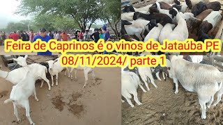 Feira de Caprinos é o vinos de Jataúba PE 08112024 parte 1 [upl. by Gallager]