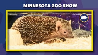 MN Zoo Show — 102424 [upl. by Godiva]