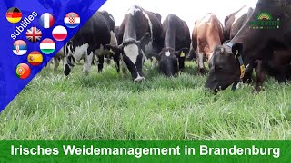 Innovativ weiden  Ganzjährige Weidehaltung in Brandenburg Betrieb Paul Costello [upl. by Leeland766]