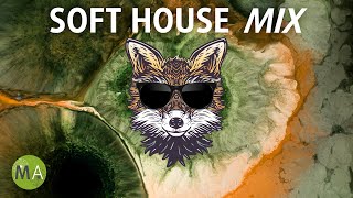 Peak Focus Soft House Study Music with Beta Isochronic Tones  Fox Mix [upl. by Vaclava]