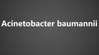 How To Pronounce Acinetobacter baumannii [upl. by Gallard]