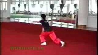 Nanquan 2000 Training  Guangdong [upl. by Rodablas289]