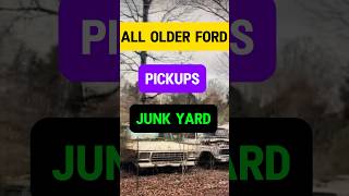 A JUNK YARD ALL FORD PICKUPS older models shorts [upl. by Lavella]