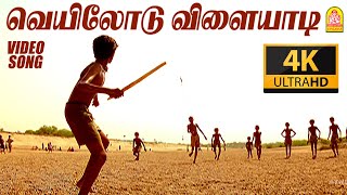 Manjal Veyil  4K Video Song  Vettaiyaadu Vilaiyaadu  மஞ்சள் வெயில்  Kamal  GVM Harris Jayaraj [upl. by Gherlein]