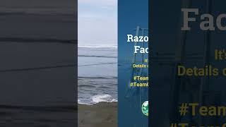 WDFW Razor Clam Faceoff 2024 [upl. by Eelanej]