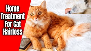 Home Treatment For Cat Hair Loss How to Quickly Stop Cats Hair Fall [upl. by Acemahs813]