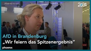 LTW Brandenburg Interview mit Alice Weidel und HansChristoph Berndt AfD [upl. by Egarton65]