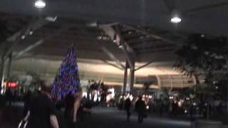 ORLANDO INTERNATIONAL AIRPORT [upl. by Budd]