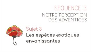 Séquence 3 Sujet 3  Les espèces exotiques envahissantes [upl. by Towne308]