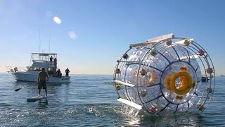 Man Rescued After Attempting To Cross Ocean In Hamster Wheel…Again [upl. by Assilav]